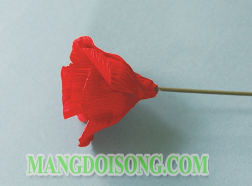 Cách làm hoa hồng handmade biểu tượng của tình yêu chân thành và sự lãng mạn cho Thiên Bình 4
