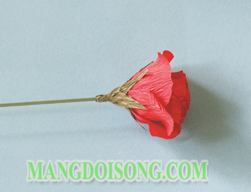 Cách làm hoa hồng handmade biểu tượng của tình yêu chân thành và sự lãng mạn cho Thiên Bình 5