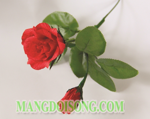Cách làm hoa hồng handmade biểu tượng của tình yêu chân thành và sự lãng mạn cho Thiên Bình 7