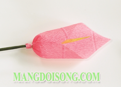 Cách làm hoa Loa Kèn handmade đẹp đơn giản chi tiết biểu tượng của sự trong sạch cho Song Ngư 4