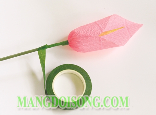 Cách làm hoa Loa Kèn handmade đẹp đơn giản chi tiết biểu tượng của sự trong sạch cho Song Ngư 5