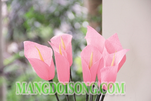 Cách làm hoa Loa Kèn handmade đẹp đơn giản chi tiết biểu tượng của sự trong sạch cho Song Ngư 6