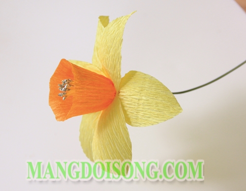 Cách làm hoa Thủy Tiên handmade đẹp chi tiết thể hiện sự trinh khiết thùy mị cho Nhân Mã 5