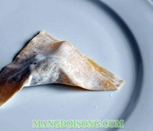 Cách làm hoành thánh tôm chiên thơm ngon giòn rụm ngon ngất ngây đẹp mê say 6