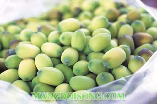 Cách làm mứt hạt sen tươi ngon tại nhà cho ngày tết bảo quản được lâu an toàn vệ sinh 1