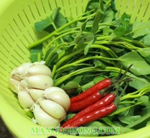Cách làm rau muốn muối chua tỏi ớt giòn ngon đúng điệu đơn giản bảo quản được lâu không hỏng 1
