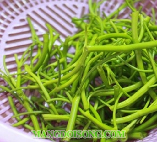 Cách làm rau muốn muối chua tỏi ớt giòn ngon đúng điệu đơn giản bảo quản được lâu không hỏng 2