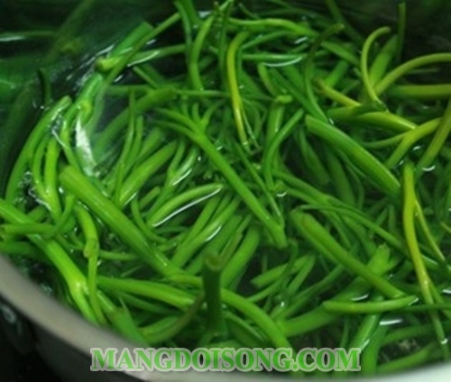 Cách làm rau muốn muối chua tỏi ớt giòn ngon đúng điệu đơn giản bảo quản được lâu không hỏng 4