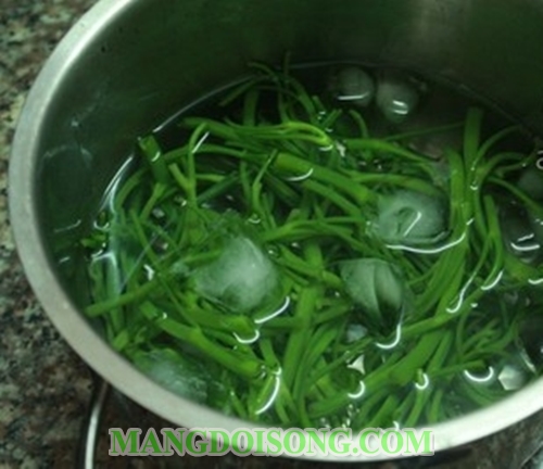 Cách làm rau muốn muối chua tỏi ớt giòn ngon đúng điệu đơn giản bảo quản được lâu không hỏng 5