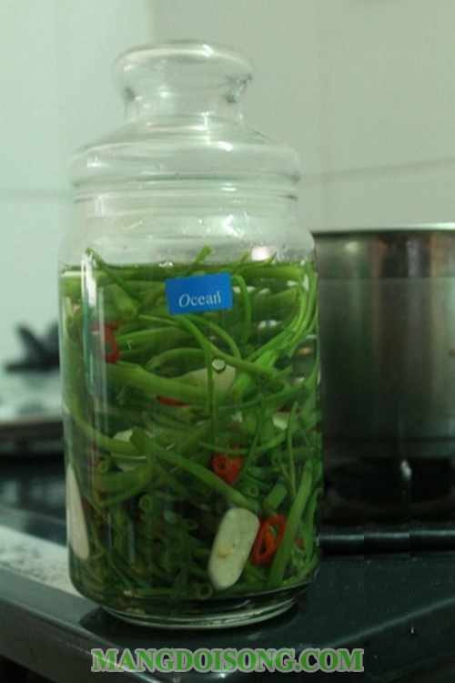 Cách làm rau muốn muối chua tỏi ớt giòn ngon đúng điệu đơn giản bảo quản được lâu không hỏng 8