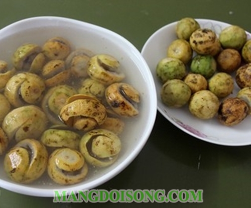 Cách làm sấu dầm muối đường ớt ngon chua cay mặn ngọt món ăn vặt mùa thu 2