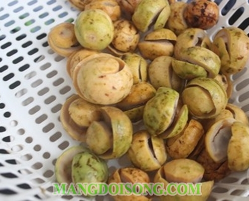 Cách làm sấu dầm muối đường ớt ngon chua cay mặn ngọt món ăn vặt mùa thu 3