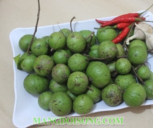 Cách làm sấu ngâm mắm ngon thơm chua cay dùng làm món muối chua cho cả nhà thưởng thức vào ngày hè 1