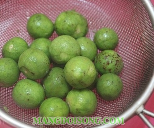 Cách làm sấu ngâm mắm ngon thơm chua cay dùng làm món muối chua cho cả nhà thưởng thức vào ngày hè 5