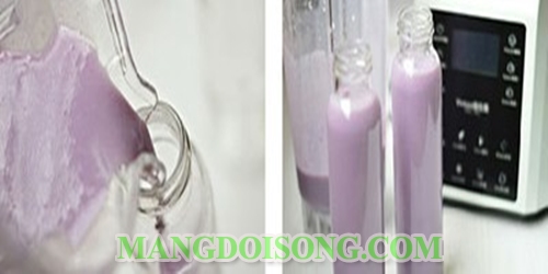 Cách làm sinh tố khoai lang tím ngon tốt cho hẹ tiêu hóa đẹp da dáng chuẩn 4