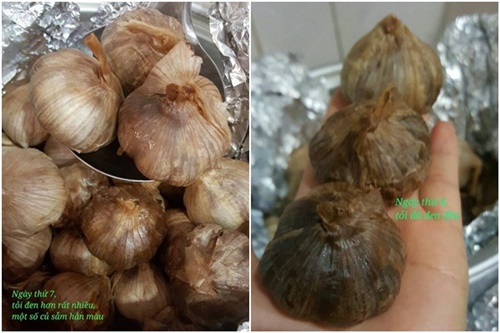 Cách làm tỏi đen tại nhà bằng bia với nồi cơm điện đơn giản chuẩn nhất dùng để chữa bệnh 10