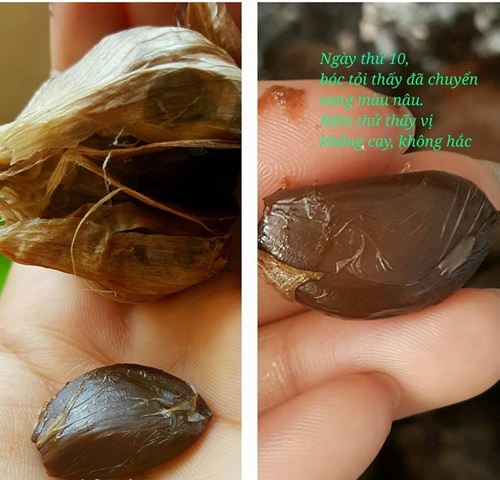 Cách làm tỏi đen tại nhà bằng bia với nồi cơm điện đơn giản chuẩn nhất dùng để chữa bệnh 12