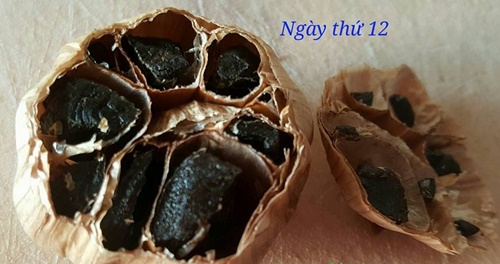 Cách làm tỏi đen tại nhà bằng bia với nồi cơm điện đơn giản chuẩn nhất dùng để chữa bệnh 14