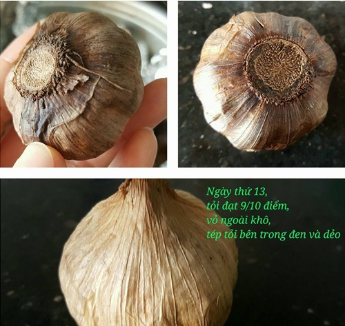 Cách làm tỏi đen tại nhà bằng bia với nồi cơm điện đơn giản chuẩn nhất dùng để chữa bệnh 15