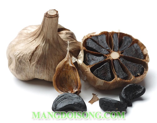 Cách làm tỏi đen tại nhà bằng bia với nồi cơm điện đơn giản chuẩn nhất dùng để chữa bệnh 18