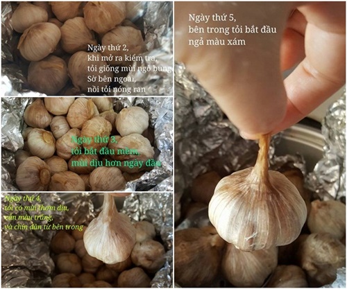 Cách làm tỏi đen tại nhà bằng bia với nồi cơm điện đơn giản chuẩn nhất dùng để chữa bệnh 8