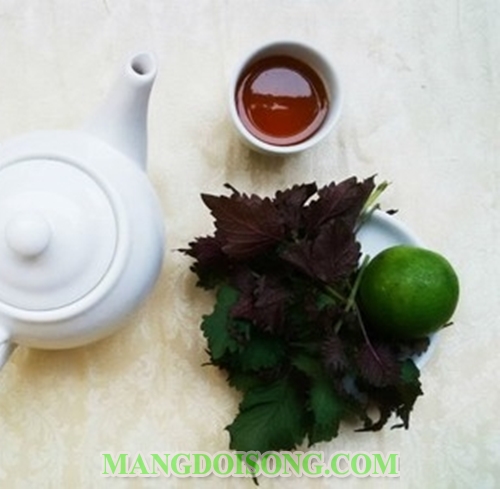 Cách làm trà mật ong thơm ngon giải cảm cho người mới mắc mưa 1