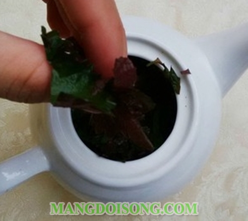 Cách làm trà mật ong thơm ngon giải cảm cho người mới mắc mưa 5