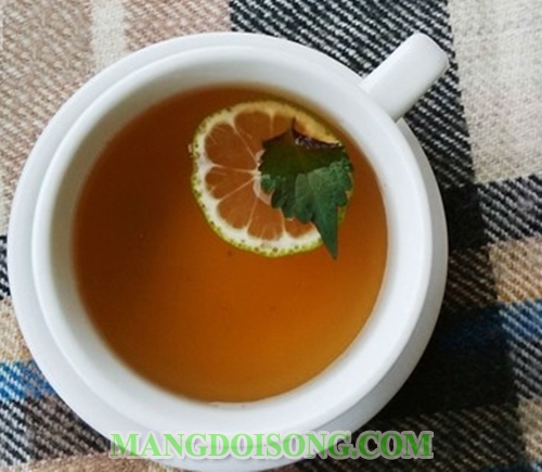Cách làm trà mật ong thơm ngon giải cảm cho người mới mắc mưa 7
