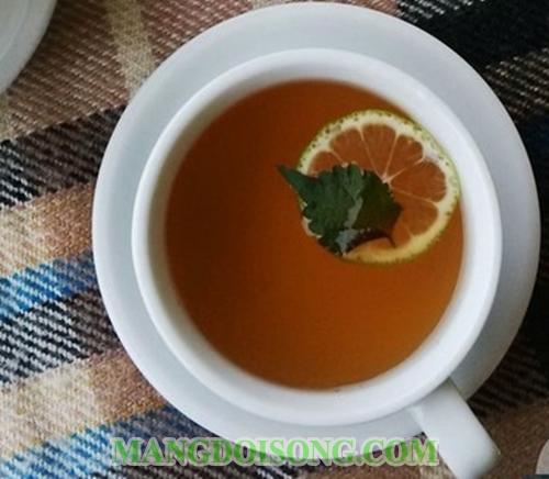 Cách làm trà mật ong thơm ngon giải cảm cho người mới mắc mưa 8