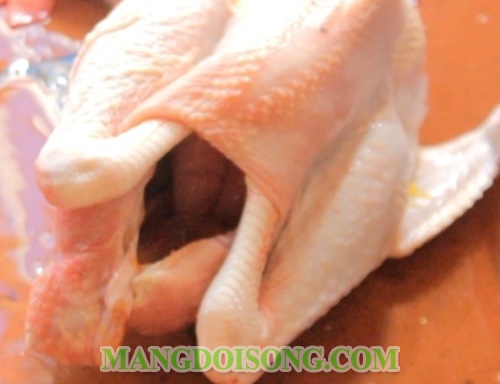 Cách luộc gà ngon để cúng đẹp mắt da giòn vàng đều không bị nứt cho ngày tết ngày rằm 3