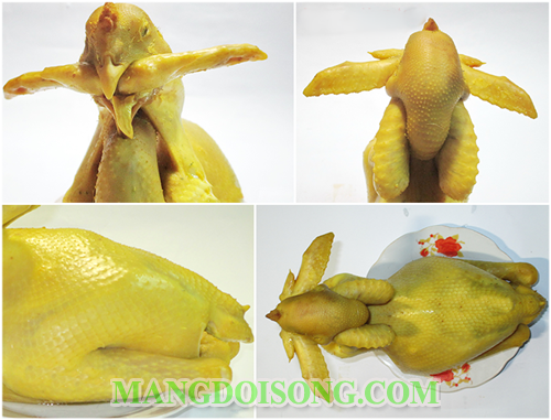 Cách luộc gà ngon để cúng đẹp mắt da giòn vàng đều không bị nứt cho ngày tết ngày rằm 5