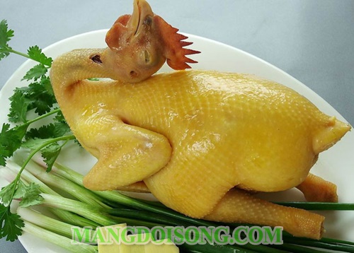 Cách luộc gà ngon để cúng đẹp mắt da giòn vàng đều không bị nứt cho ngày tết ngày rằm 6