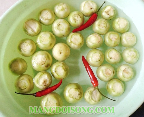 Cách muối cà pháo ngon không bị thâm ăn với mắm tôm trắng giòn để được lâu 2