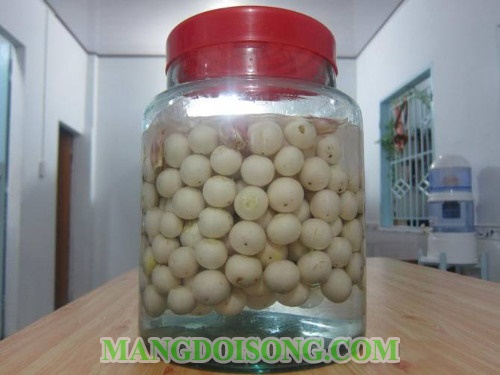 Cách muối cà pháo ngon không bị thâm ăn với mắm tôm trắng giòn để được lâu 6