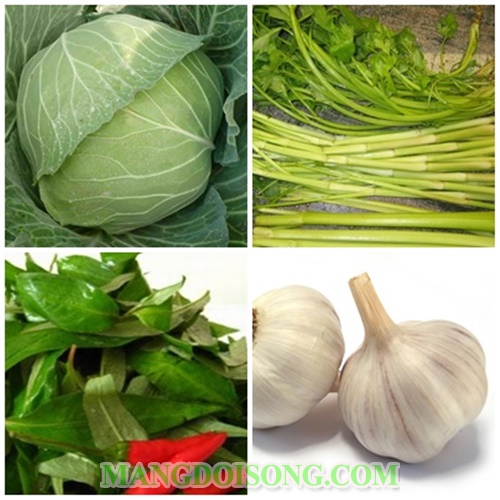 Cách muối dưa bắp cải ngon giòn nhanh chua để được lâu không bị ủng cho ngày tết 1
