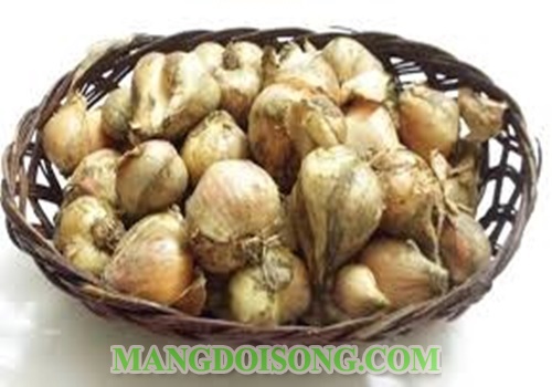 Cách muối hành ngon nhất giòn không hăng cho ngày tết 1
