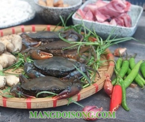 Cách nấu bánh canh cua lột ngon đặc sản Cam Ranh món ngon không thể bỏ qua vào cuối tuần 1
