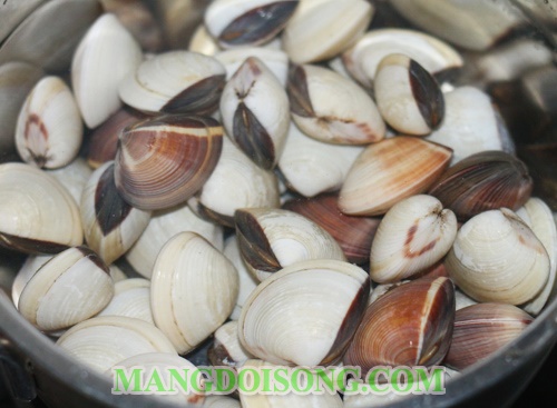 Cách nấu canh chua nghêu ngon đúng điệu chống ngán sau ngày tết 2