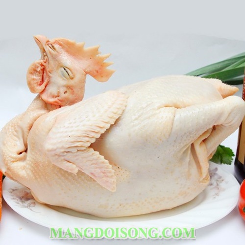 Cách nấu cháo gà ngon bổ dưỡng cho bé hay mẹ bầu dùng để bồi dưỡng sức khỏe 2
