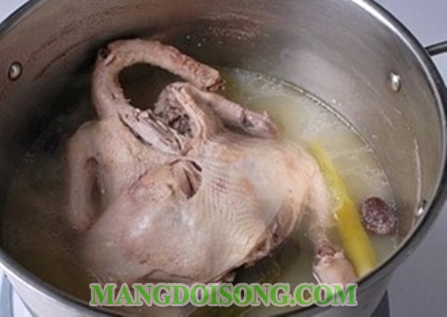 Cách nấu cháo gà ngon bổ dưỡng cho bé hay mẹ bầu dùng để bồi dưỡng sức khỏe 6
