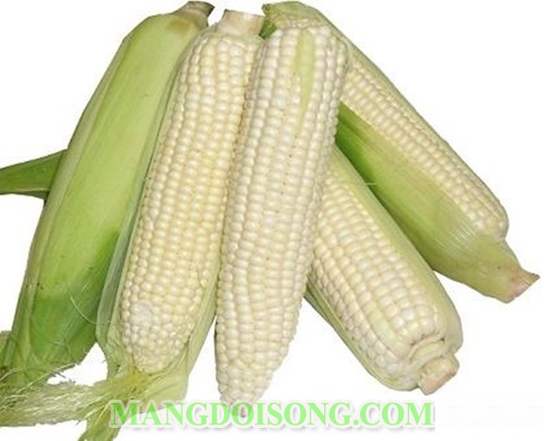 Cách nấu chè bắp ngô ngon đơn giản tại nhà dùng làm món tráng miệng 1