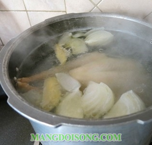 Cách nấu cơm gà hội an ngon đúng điệu theo phương pháp truyền thống của người hội an xưa 7