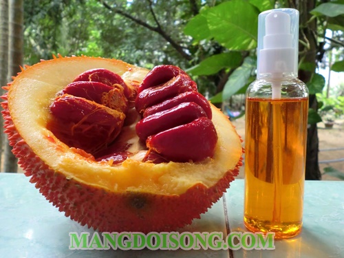 Cách nấu dầu gấc tại nhà nguyên chất với dầu dừa đơn giản dùng làm đẹp hoặc bổ sung vi chất cho bé 11