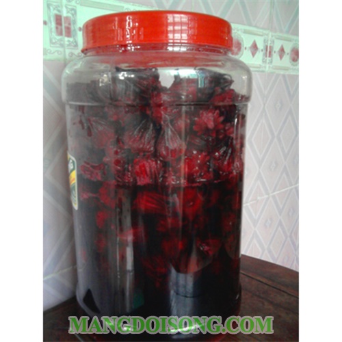 Cách ngâm hoa atiso đỏ với đường ngon làm nước uống để được lâu không bị nổi váng 13