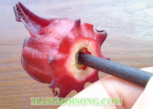 Cách ngâm hoa atiso đỏ với đường ngon làm nước uống để được lâu không bị nổi váng 5