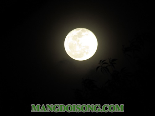 Cúng rằm tháng giêng vào ngày 14 hay 15 - cần những gì - cúng như thế nào - vào lúc nào 2