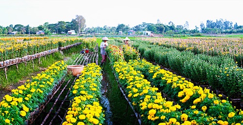 Địa điểm vui chơi ở Sài Gòn tết Bính Thân 2016 vui thú vị hấp dẫn nhất 8