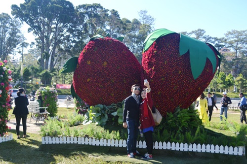 Festival hoa Đà Lạt 2015 đẹp rực rỡ độc đáo hấp dẫn cho kỳ nghỉ tết dương lịch 13