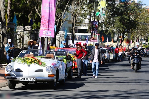 Festival hoa Đà Lạt 2015 đẹp rực rỡ độc đáo hấp dẫn cho kỳ nghỉ tết dương lịch 3