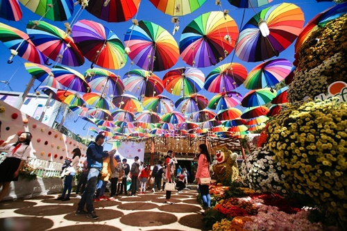 Festival hoa Đà Lạt 2015 đẹp rực rỡ độc đáo hấp dẫn cho kỳ nghỉ tết dương lịch 7